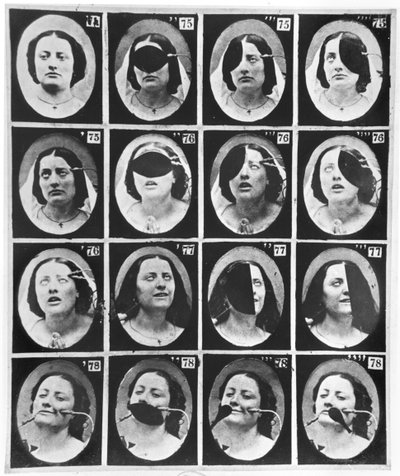 Physiognomical studies, from 
